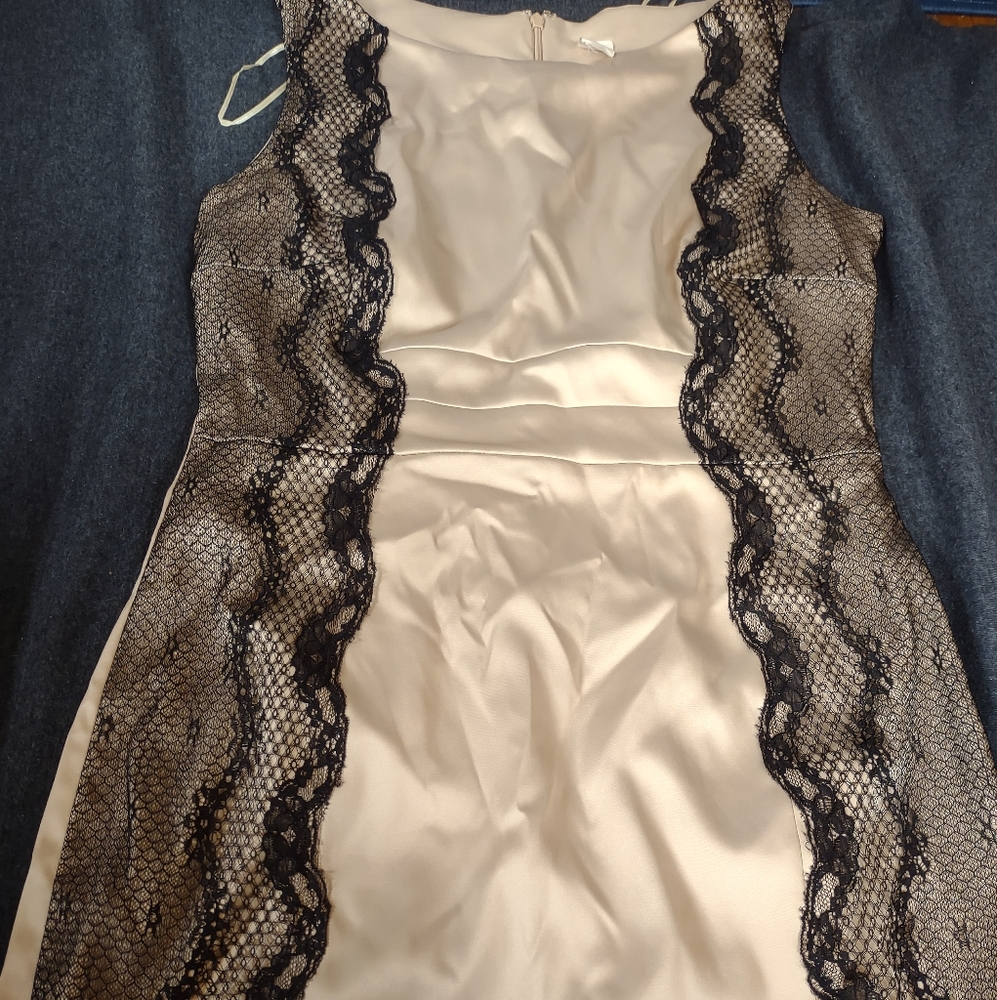 Sangria gold and black dress